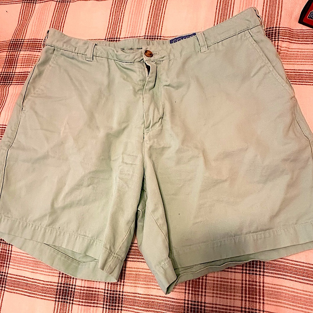Mint green Coast 5” inseam shorts.